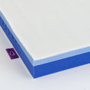 Traumeland Sea Breeze - Premium