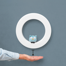 Veggljós - Fay-Rex-Otis