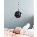 Broddgöltur - spiladós