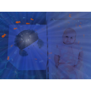 Næturljós - Ljóskastari sjór