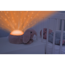 Næturljós - Ljóskastari stjörnur