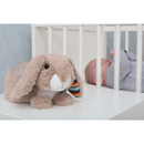 Næturljós - Ljóskastari stjörnur