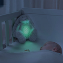 Næturljós - Ro the Rabbit