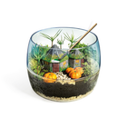 Harry Potter Hagrid's Hut Terrarium