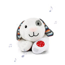 Bangsi með hljóði