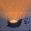 Næturljós - Ljóskastari stjörnur