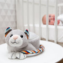 Næturljós - Ljóskastari stjörnur