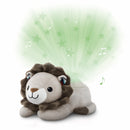 Næturljós - Ljóskastari stjörnur