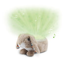 Næturljós - Ljóskastari stjörnur