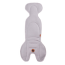 Innlegg Í Bílstóla