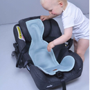 Innlegg Í Bílstóla